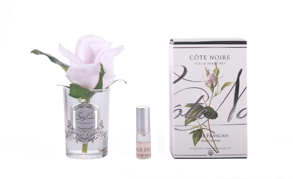 
                  
                    Cote Noire Rosebud French Pink with fragrance GMR46
                  
                