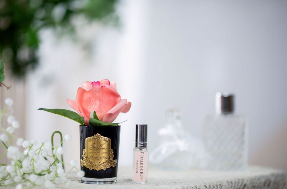 
                  
                    A single rosebud white peach toned in a black glass vase with a gold crest, displayed at Natashas Skin Spa beauty salon and florist store on City Road Southbank Melbourne Australia
                  
                