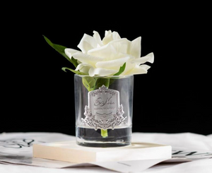 
                  
                    Single ivory white rose in clear glass vase sits on a book with a black background
                  
                