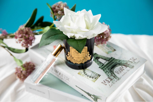 
                  
                    A beautiful ivory white single open rose sits in a black glass vase with gold crest, on top of a pile of books from france, sits in the store at natashas skin spa beauty salon, spa and florists store on City Road in Southbank Melbourne Australia
                  
                